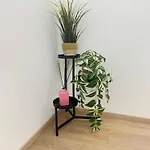 فندق مبيت وإفطار Benincasa نابولي
